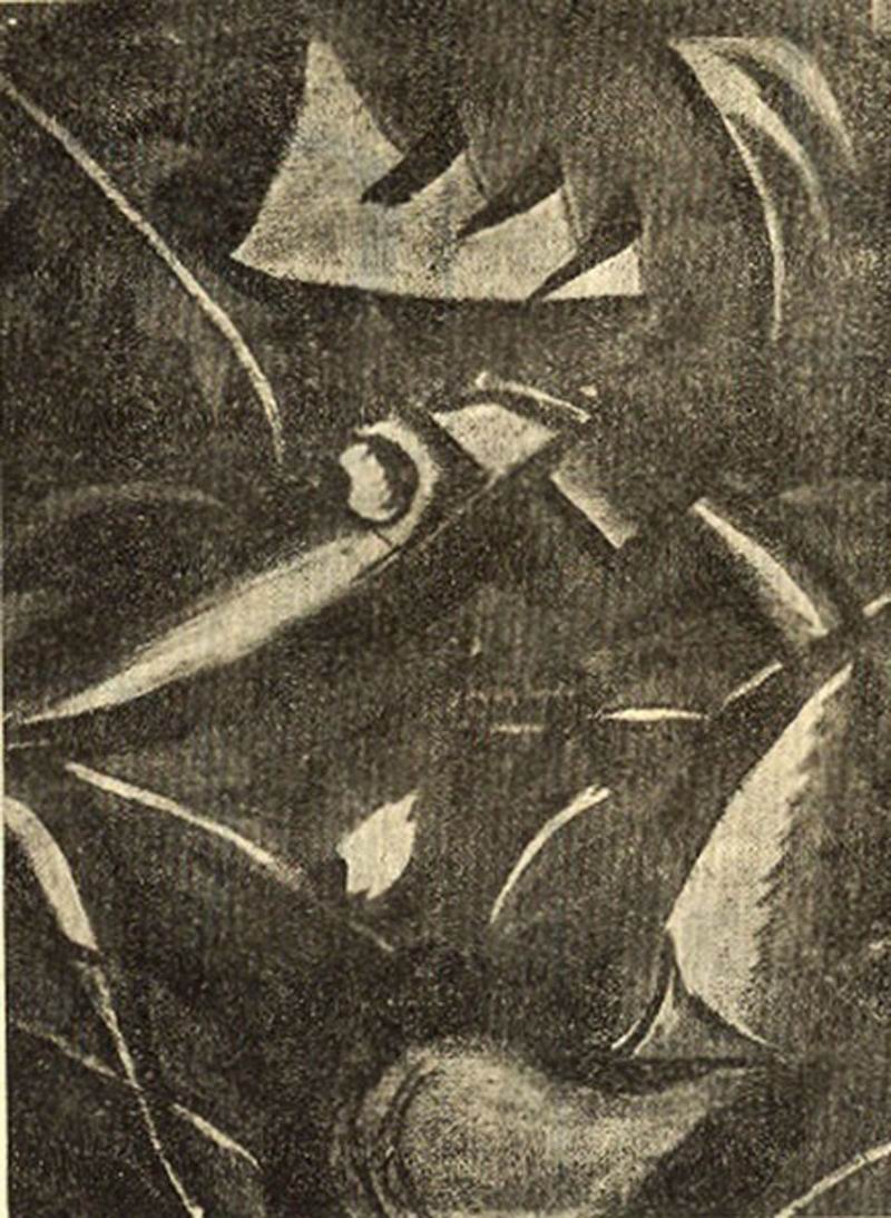 წიგნიდან H2SO4, 1924