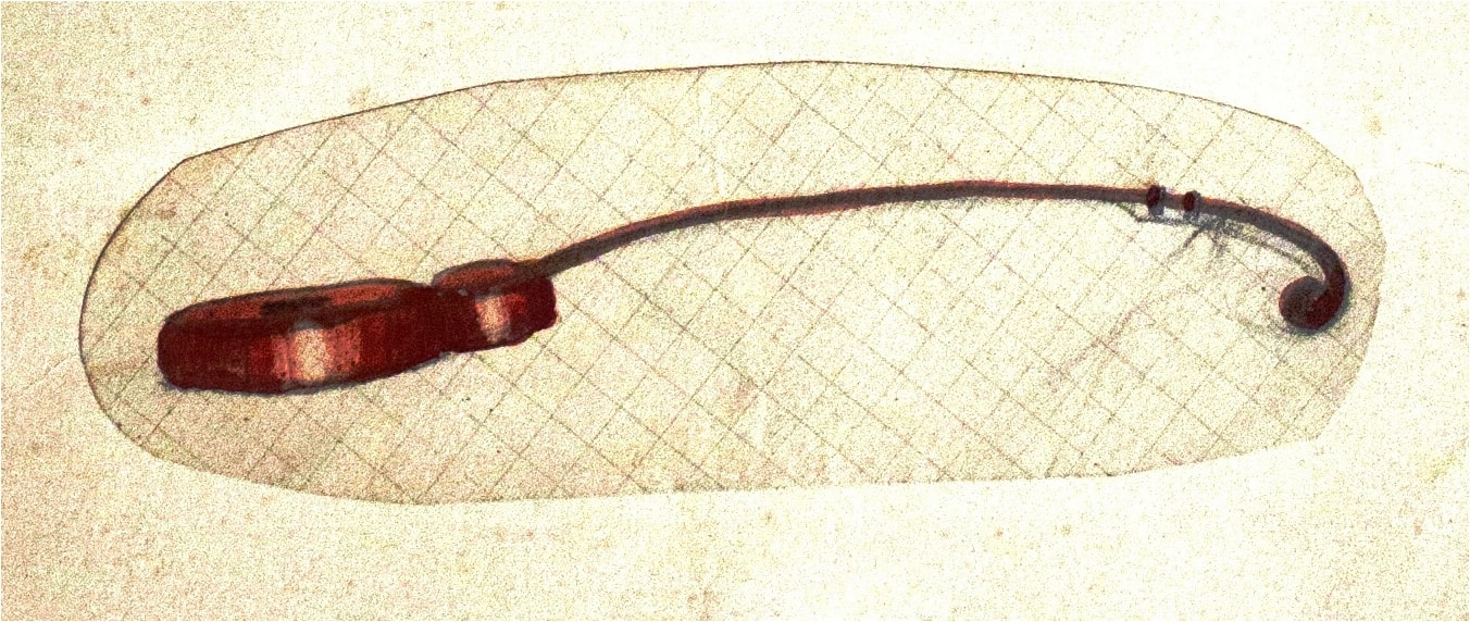 watercolor, paper, 38X27, Shalva Amiranashvili Museum of Fine Arts 