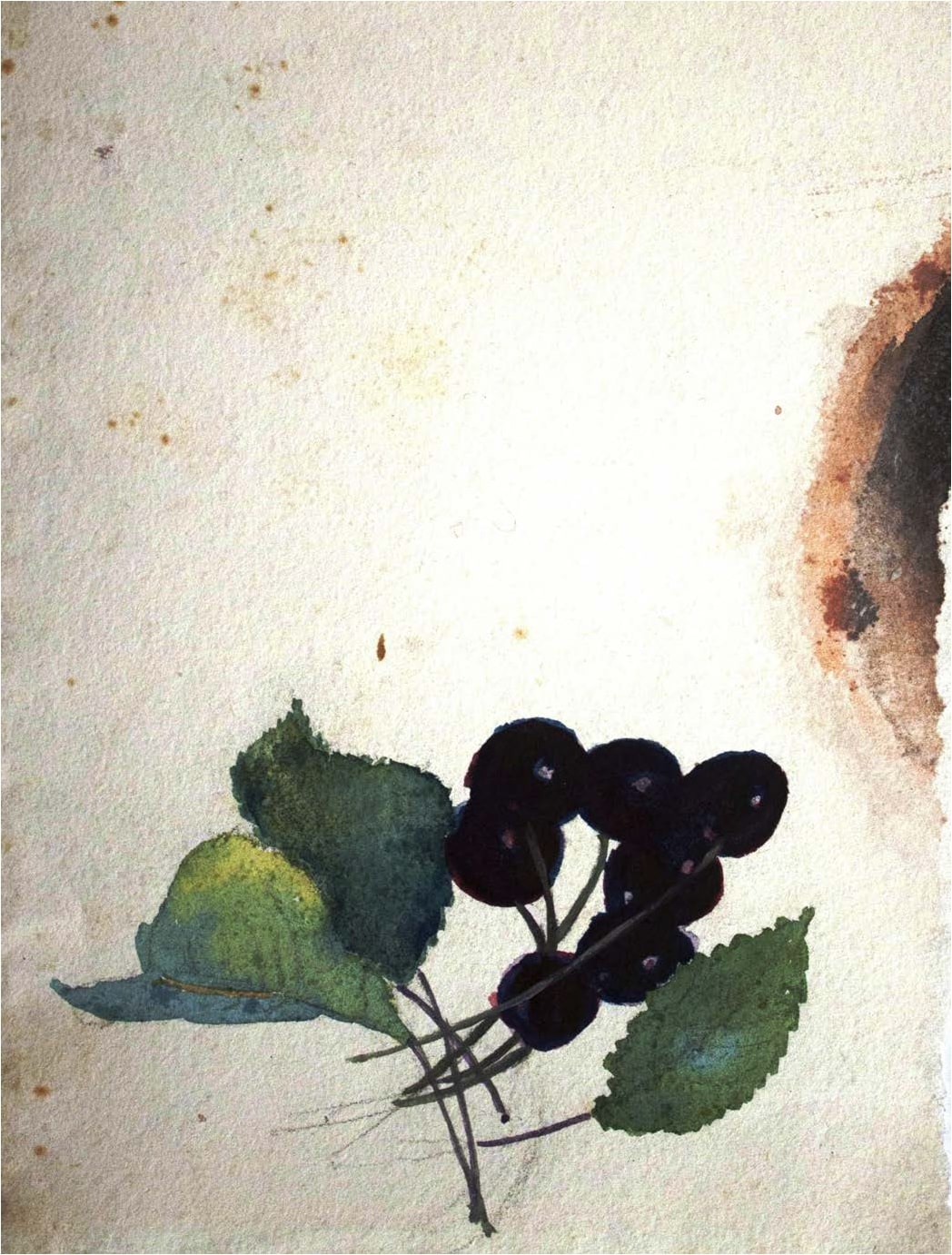 watercolor, paper, 18X13, Shalva Amiranashvili Museum of Fine Arts 